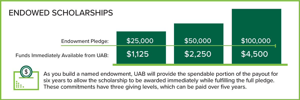 endowed_scholarships_infographic