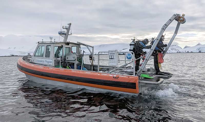 An orange and black Rigid Hull Inflatable Boat with two divers standing at the stern preparing to go into the water. Photo by Hannah James.