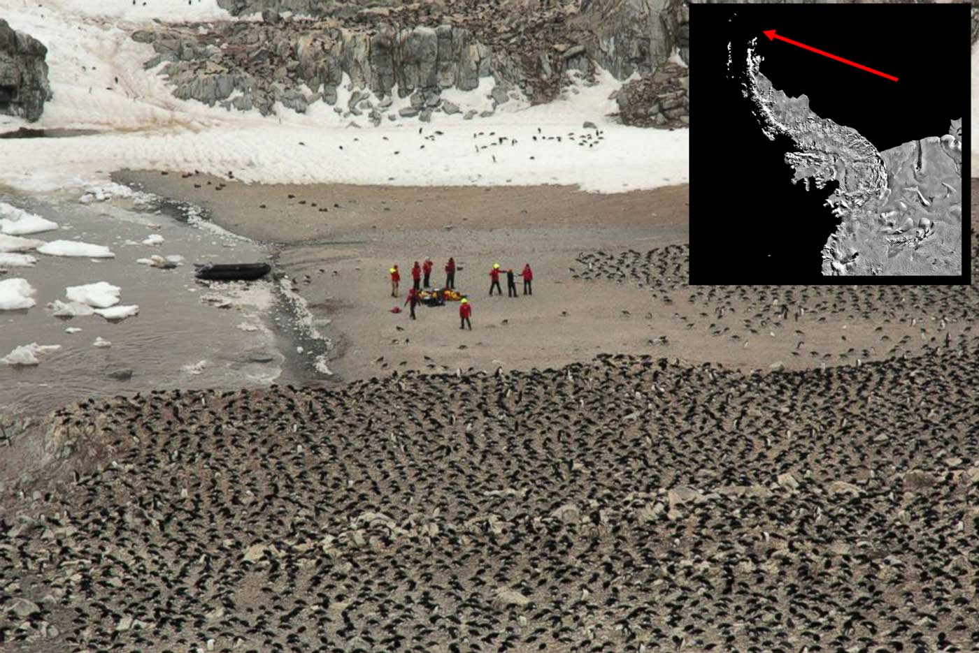 Aerial view of a 'Supercolony' of Adelie penguins discovered in Antarctica with an inset pointing to the location near the tip of the Antarctic Peninsula; Source: Scientific Reports - March 2, 2018