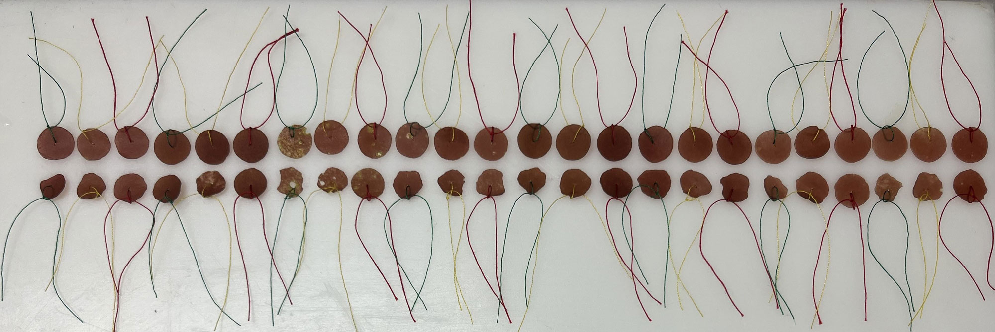 Two rows of red discs leashed by a green, yellow, or red thread