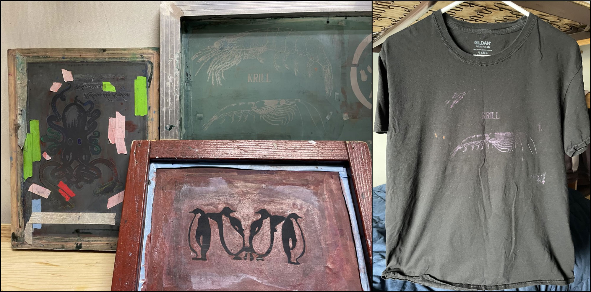 Composite showing three framed silkscreens – a squid, a quartet of penguins, and a krill alongside a gray t-shirt with purple printed krill.