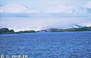  Photo by Charles D. Amsler photo. Anvers Island, Antarctica with islands in Arthur Harbor in foreground. At center back is Palmer Station (fuel tanks to the right of station). In center middle is the wreck of the Bahia Pariaso about 6 weeks after it sank in 1989.
