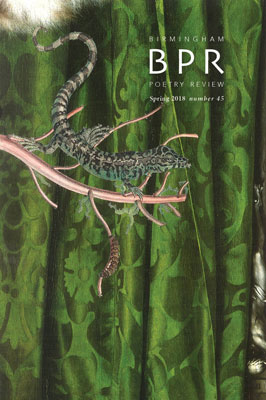 Cover of BPR 45 (2018), an illustration of a lizard on a branch in front of a green brocade curtain.