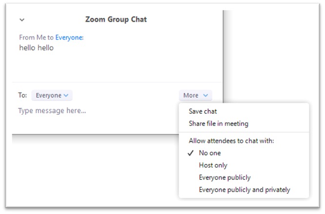 Screen shot showing how to allow for participants to use chat.