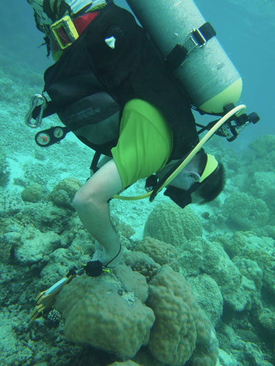 UAB underwater research exploring the unknown.