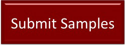 submit_button