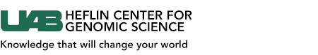 site logo