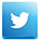 icon twitter