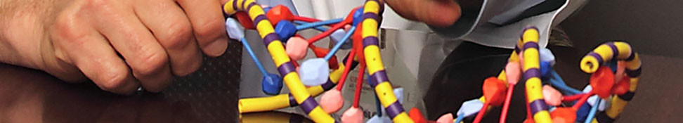 Bruce Korf with helix model