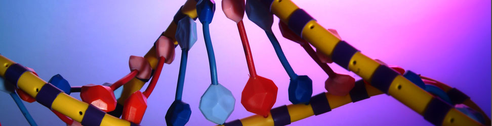 DNA helix