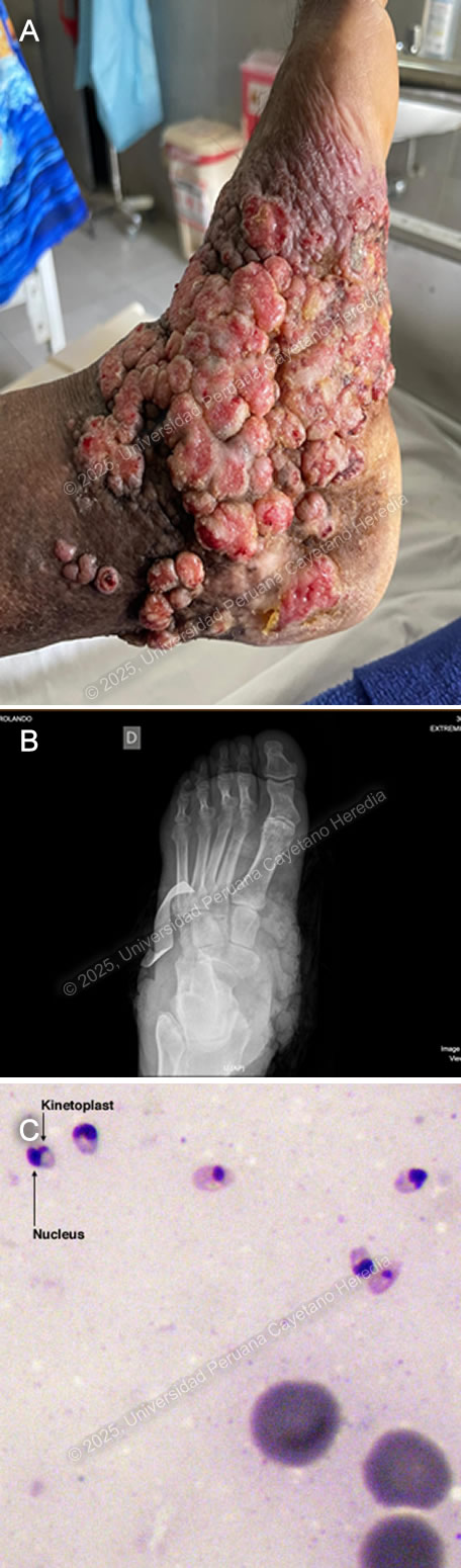 Image for Case 2025-3