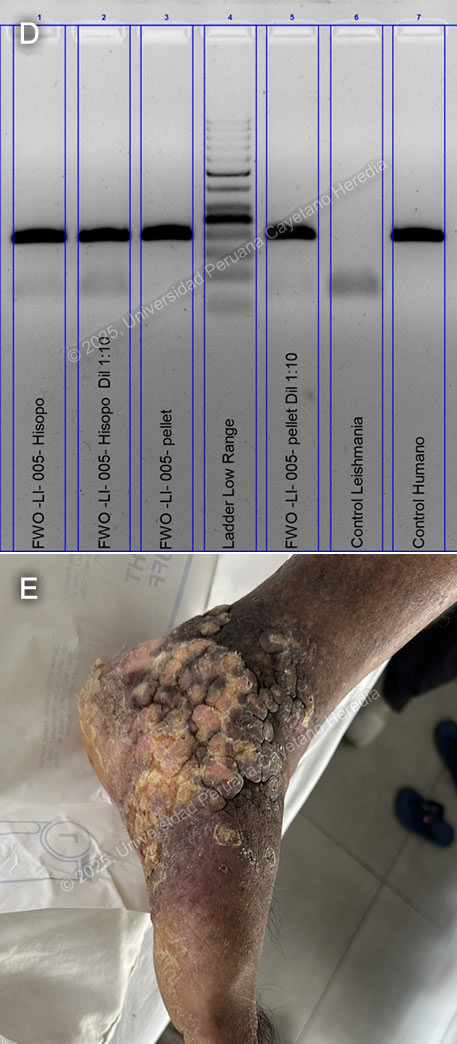 Images for Case 2025-3