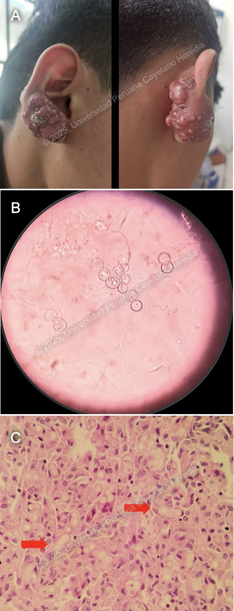 Image for Case 2025-5