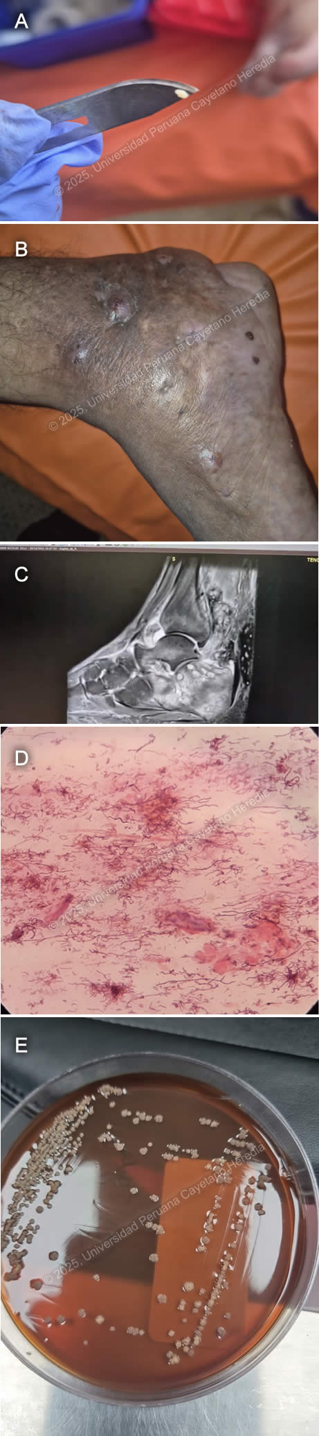 Image for Case 2025-7