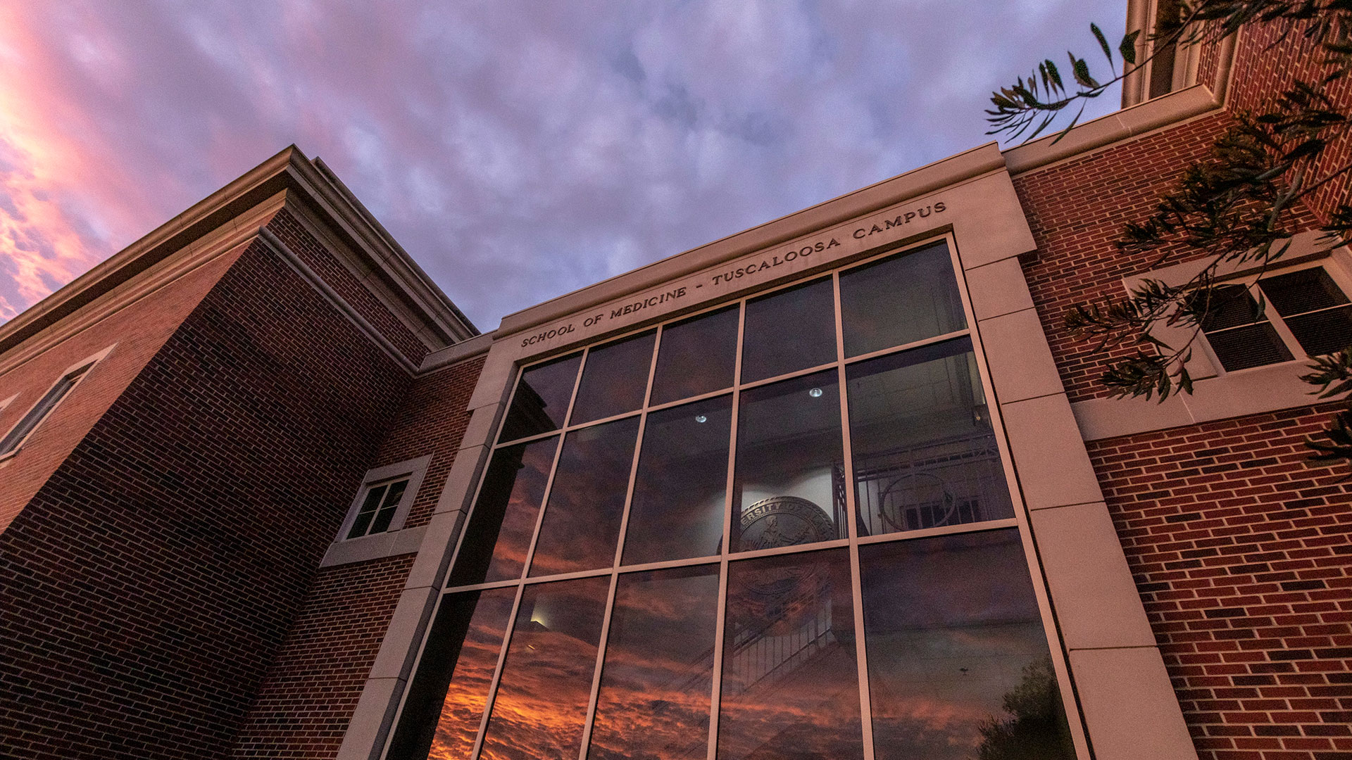 tuscaloosa regional campus building at sunset