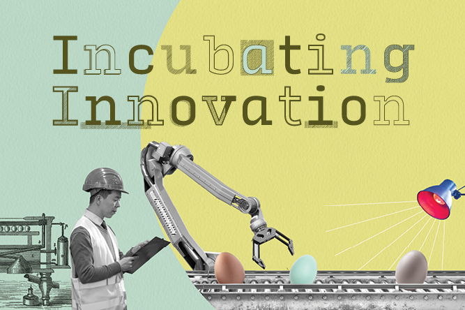 Incubating Innovation