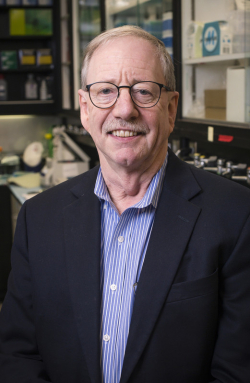 Steve Austad, Ph.D.