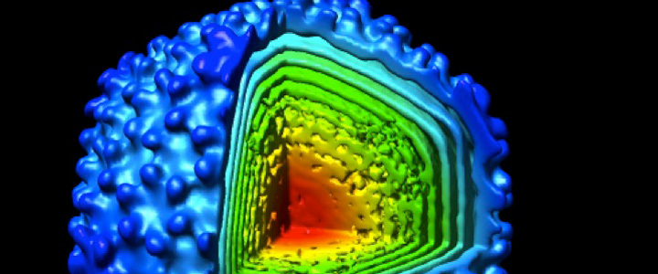 prevelige 2 biophys