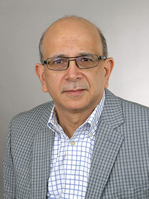 Ismail Mohamed, M.D.