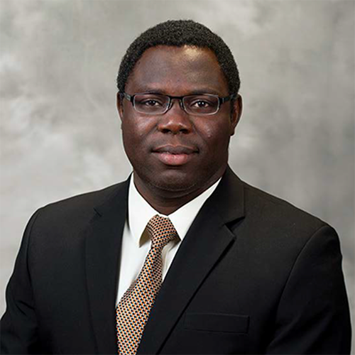 Pius S. Fasinu, Ph.D., Pharmacology and Toxicology