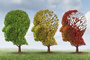Personalized dementia risk assessment now available