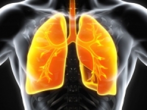 UAB pulmonary investigators receive major NIH research grants