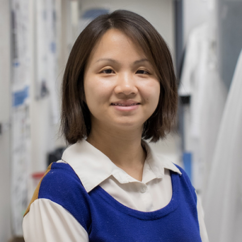 Holly Chen, Ph.D., Department of Cell, Developmental, and Integrative Biology