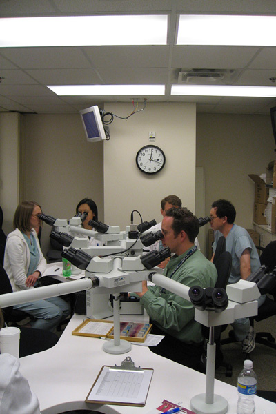 fellows_teaching