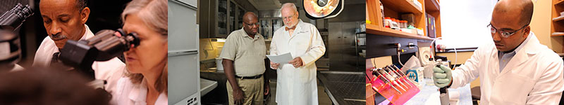 FacultyBanner_800x150
