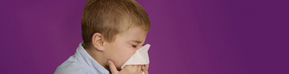 home-allergybanner