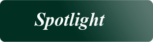 Spotlight_banner_grad1