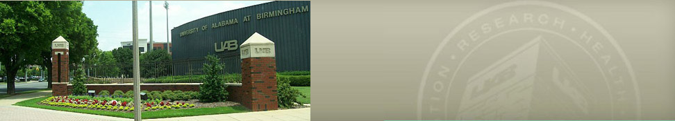 MSK_banner_2-22-13_972_x_175