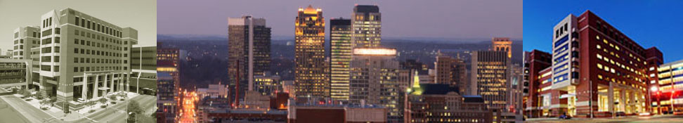 hospital__skyline_banner_972x175