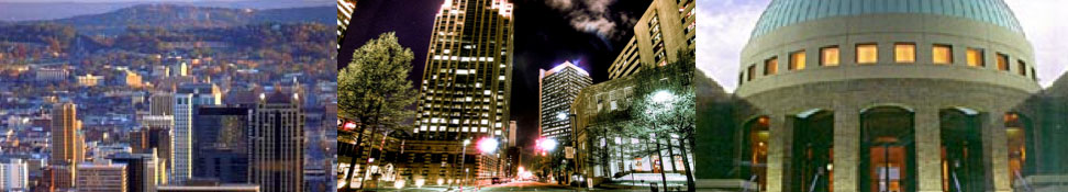 new_972x175_banner_skylines