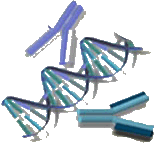 AbDNAHelixLOGO