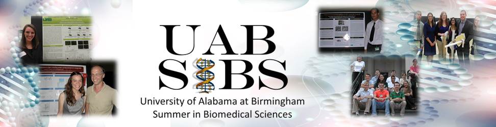 SIBS_Front_Banner