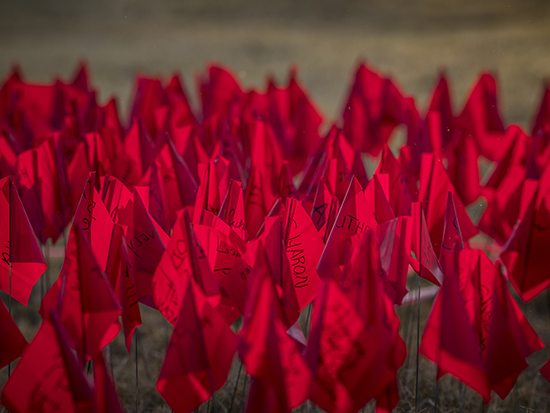 Red ribbon for world AIDS day 