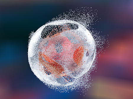Computer illustration of the destruction of a human cell by lysis.