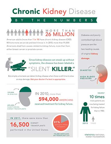 Kidney Disease Infographic
