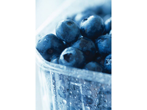 PHOTO-Blueberries_site