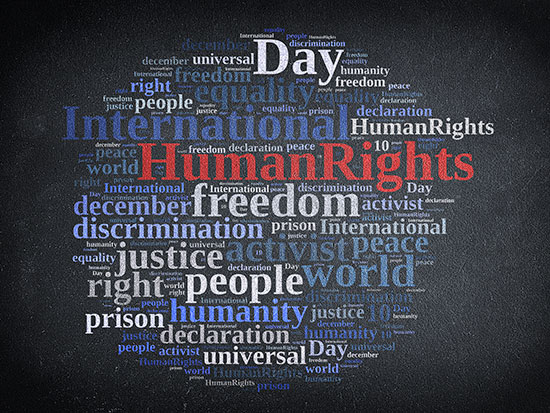 human rights stream