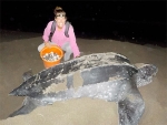 Graduate student continues endangered sea turtle research with new grant