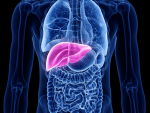 UAB startup company receives FDA clearance for liver imaging software