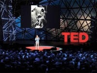 Space archaeologist Sarah Parcak launches TED prize wish: GlobalXplorer