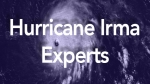 Experts available to discuss health, engineering and economic impacts of hurricanes