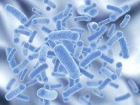 Defined healthy microbiome to shake up understanding of many diseases
