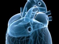 Beta-blockers can cut mitral disease effects, consequences