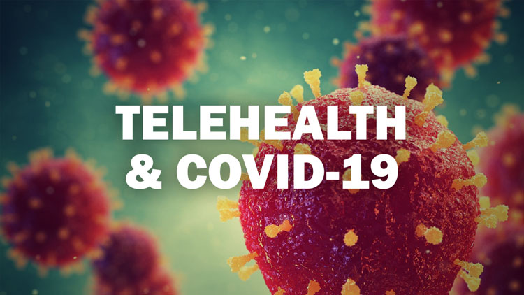 Using Telehealth during the COVID-19 Pandemic to Meet the Needs of Vulnerable Populations