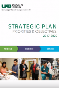 Strategic Priorities 2017-2020