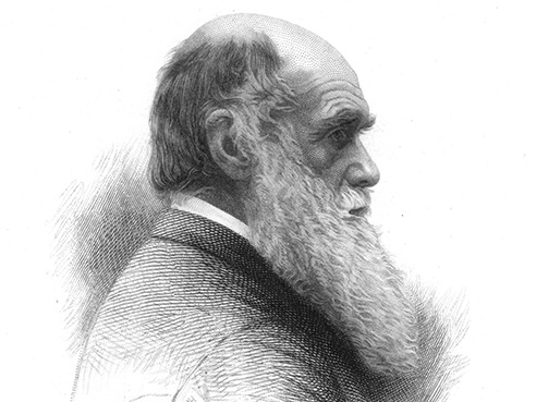 Charles Darwin Illustration